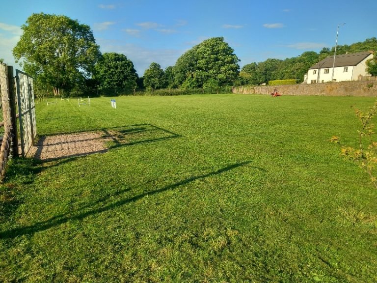 Secure Dog Paddock Booking photo 1
