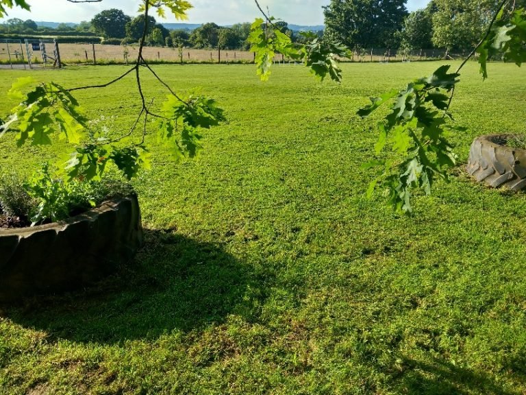 Secure Dog Paddock Booking photo 3