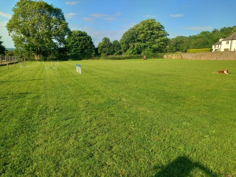 Secure Dog Paddock Booking photo 7