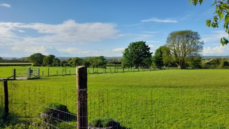 Secure Dog Paddock Booking photo 4